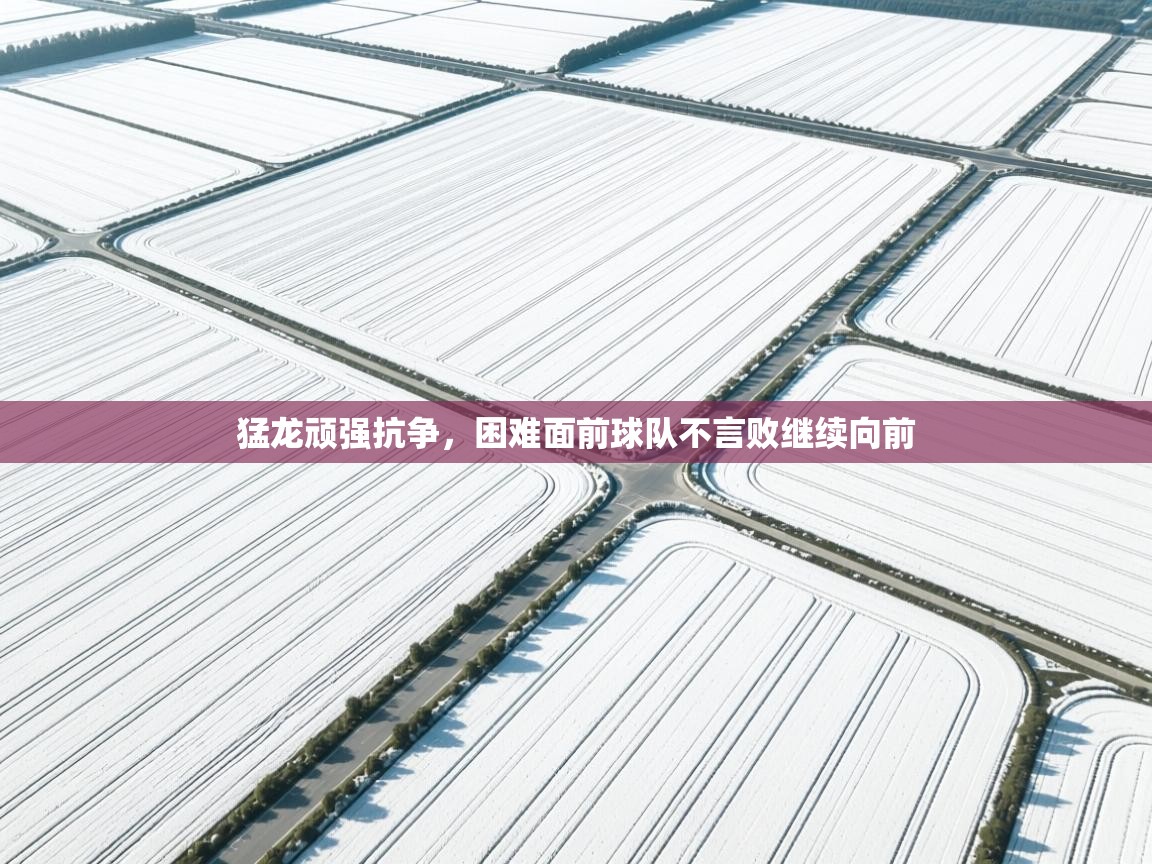 猛龙顽强抗争，困难面前球队不言败继续向前  第1张