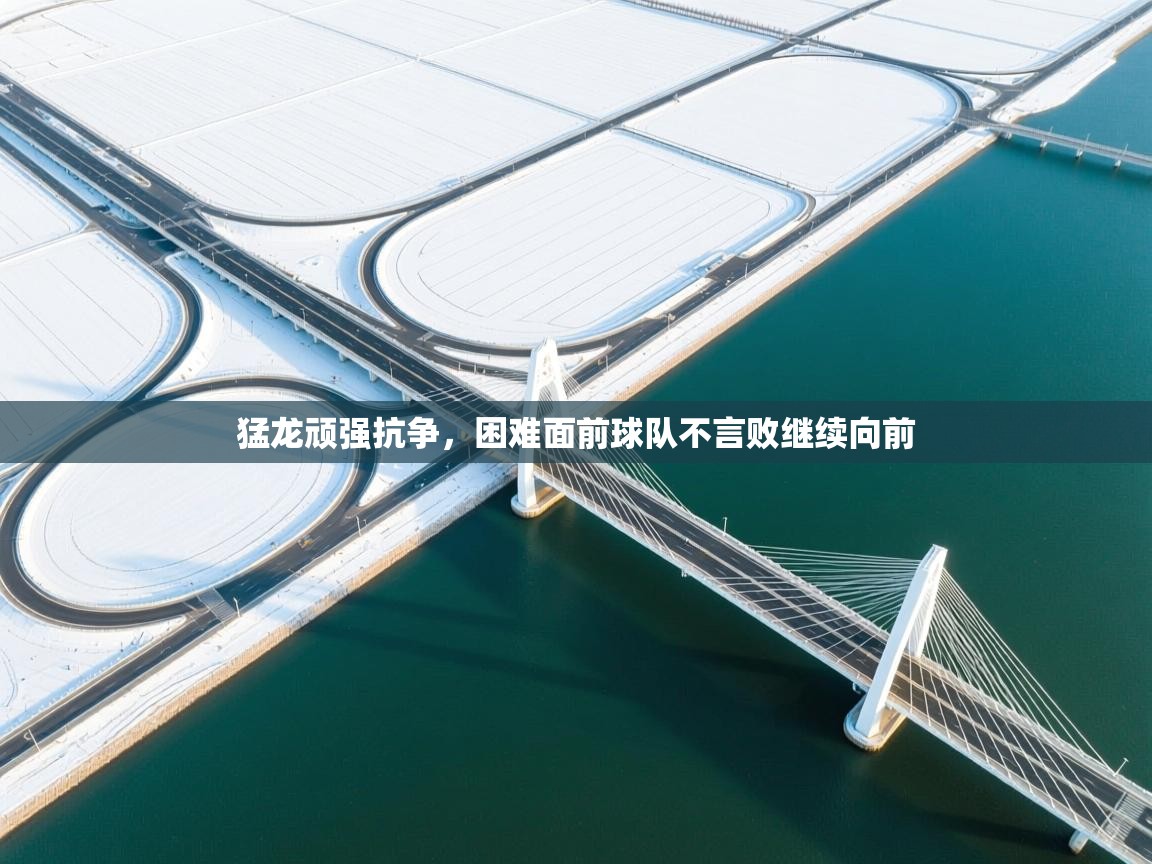 猛龙顽强抗争，困难面前球队不言败继续向前  第2张