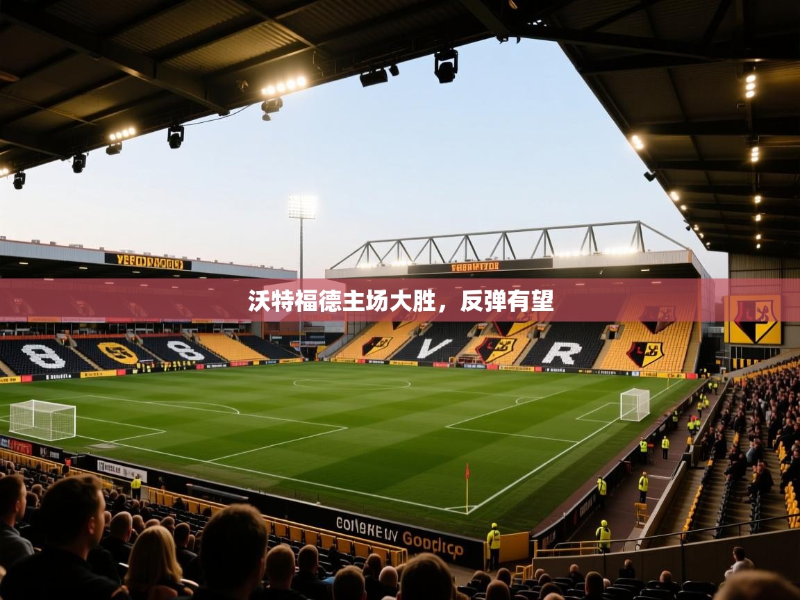 沃特福德主场大胜，反弹有望  第1张