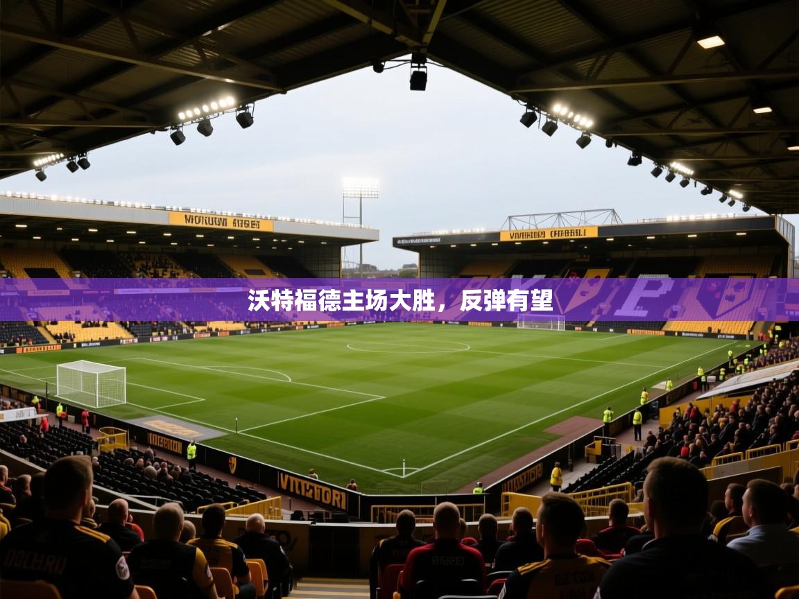 沃特福德主场大胜，反弹有望  第2张