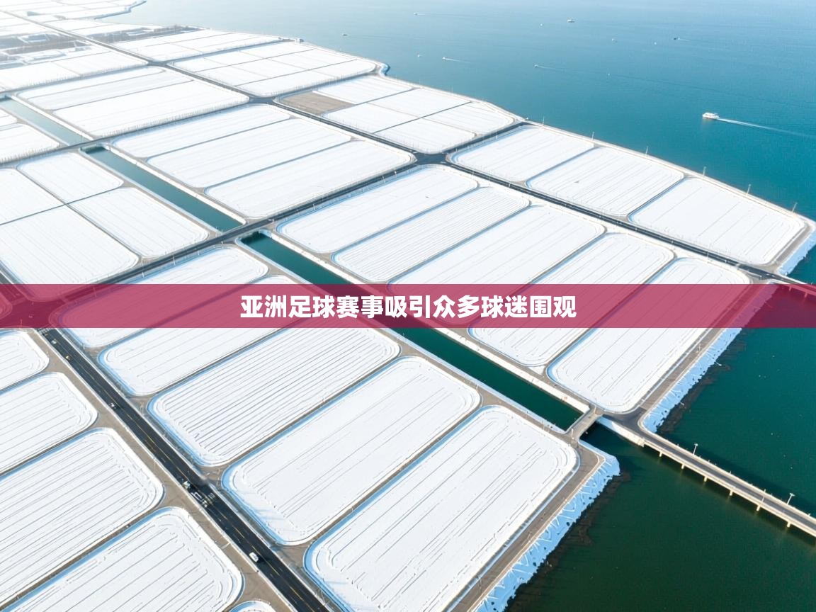 亚洲足球赛事吸引众多球迷围观  第1张