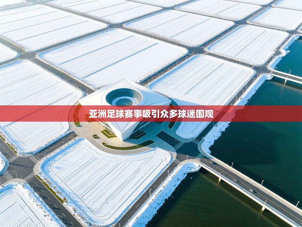 亚洲足球赛事吸引众多球迷围观  第2张