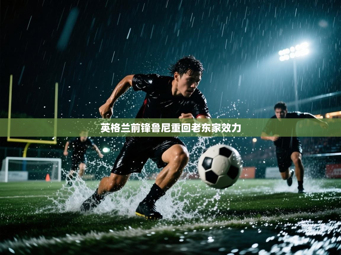 英格兰前锋鲁尼重回老东家效力  第1张