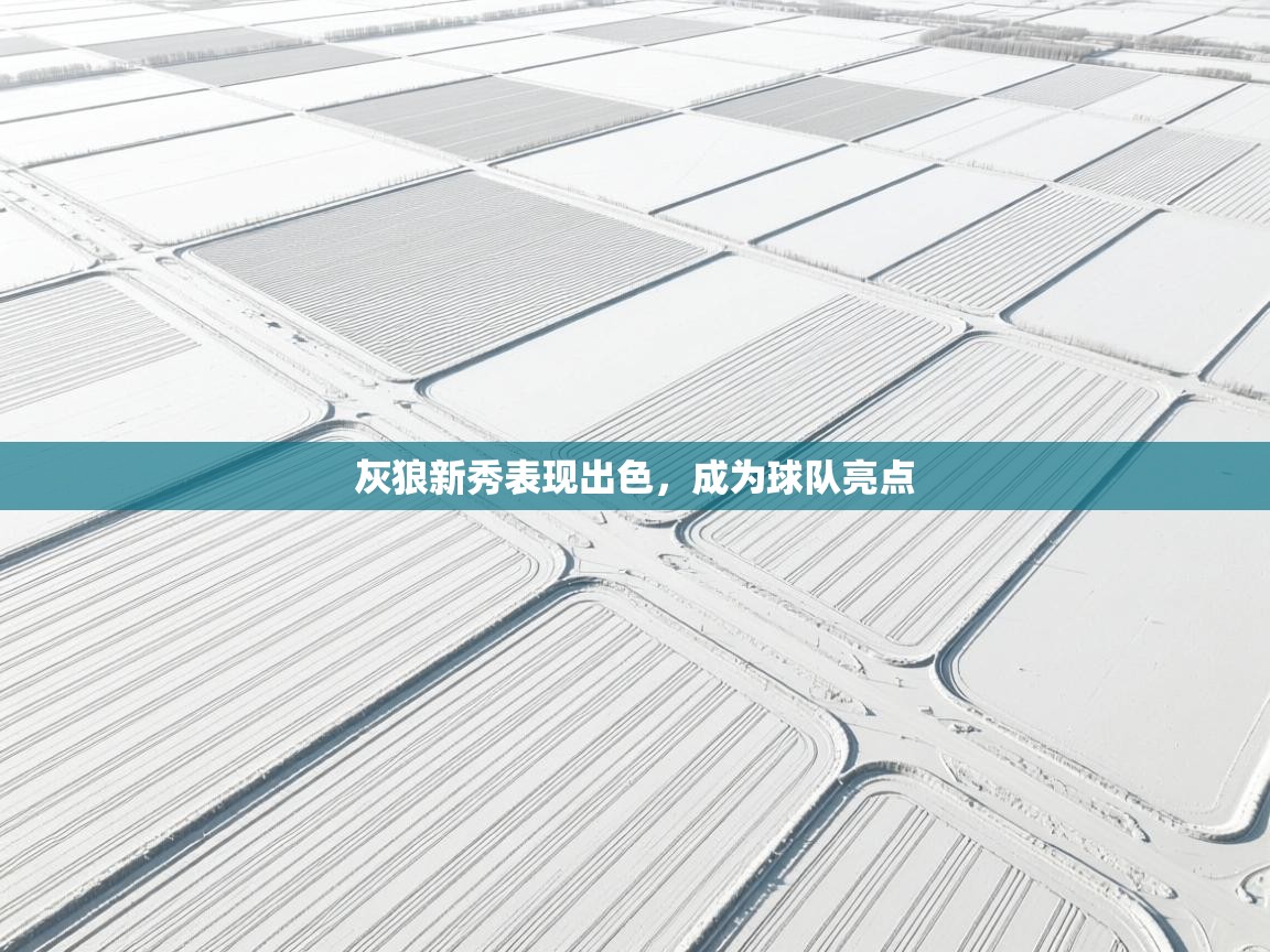 灰狼新秀表现出色,成为球队亮点 第1张