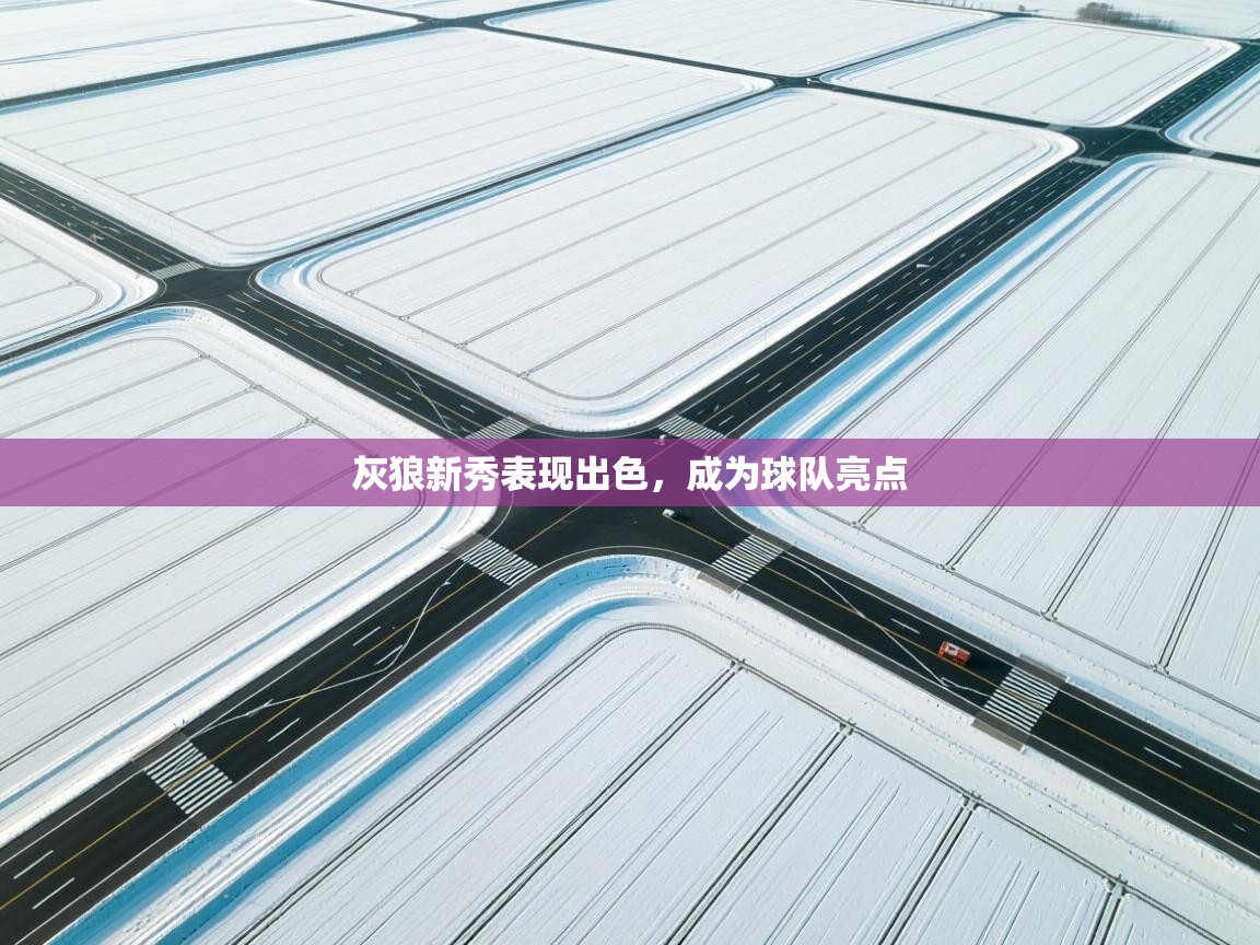 灰狼新秀表现出色,成为球队亮点 第2张