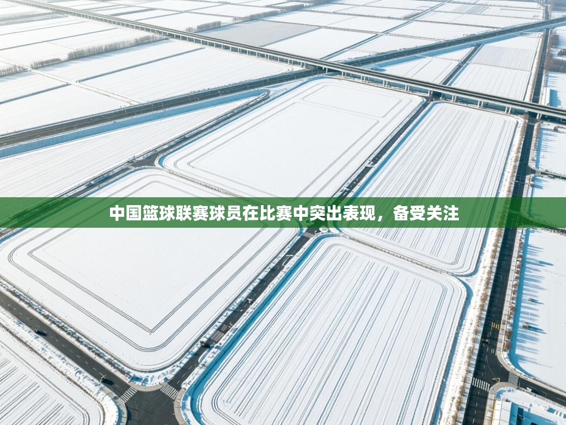 中国篮球联赛球员在比赛中突出表现,备受关注 第1张