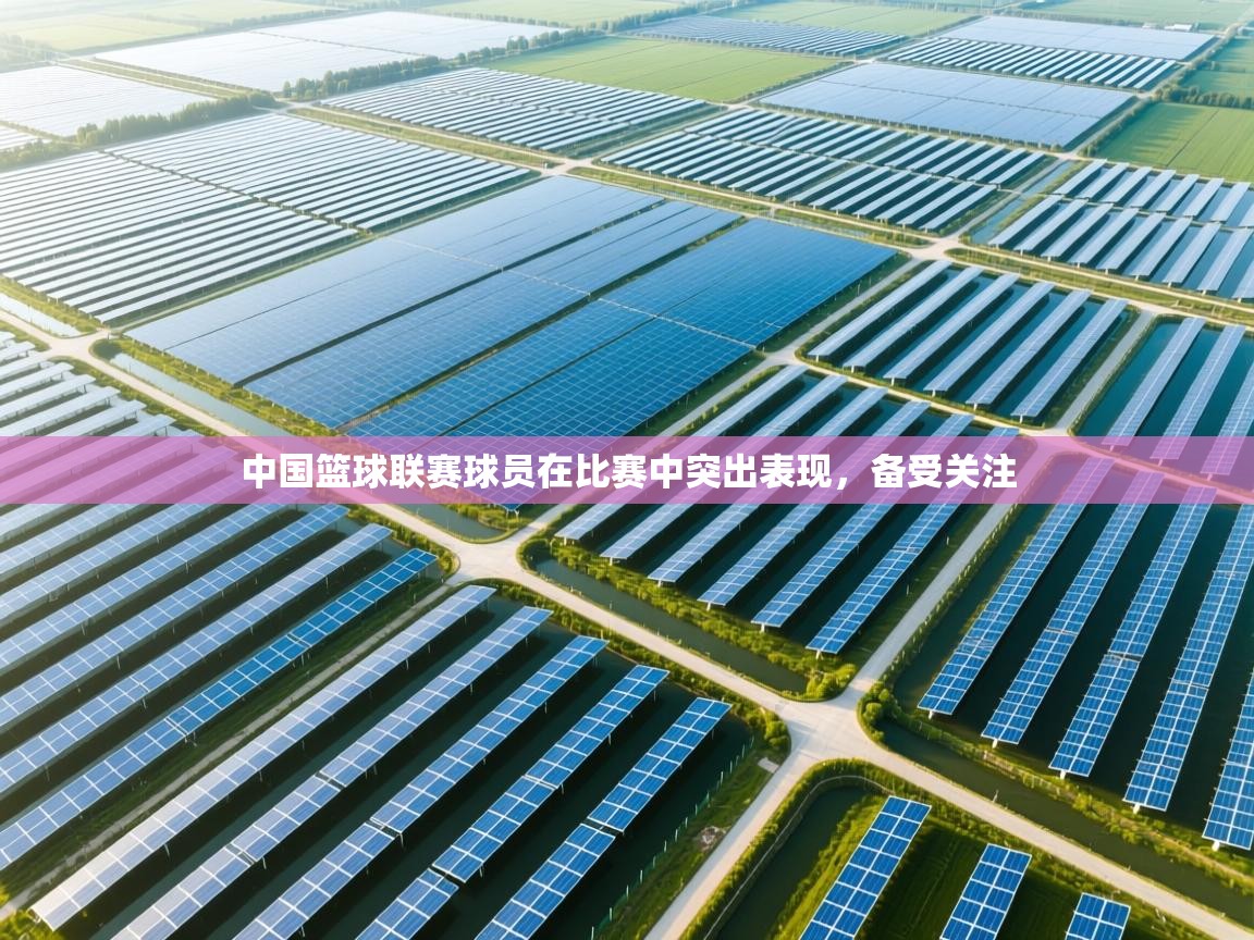 中国篮球联赛球员在比赛中突出表现,备受关注 第2张