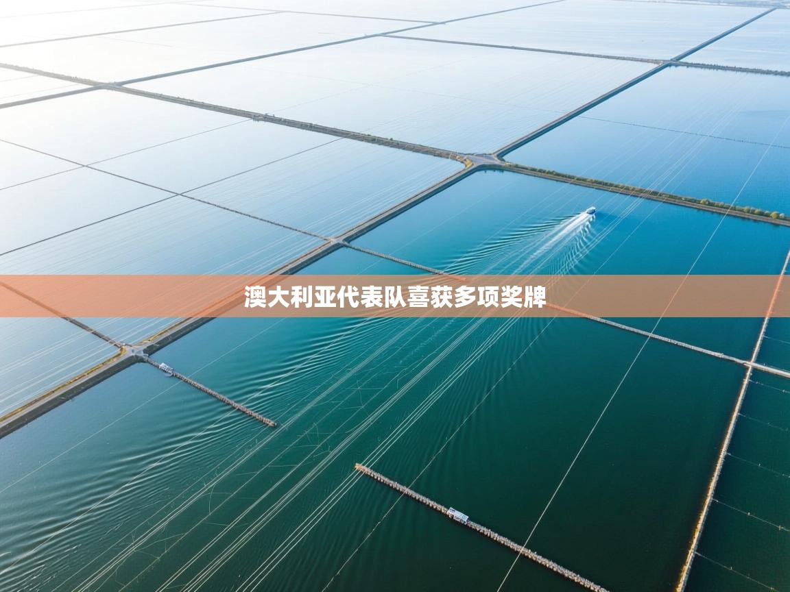 澳大利亚代表队喜获多项奖牌 第2张